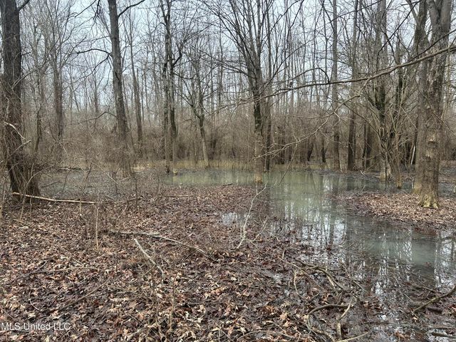 Campbell Swamp Road, Vicksburg, MS 39180