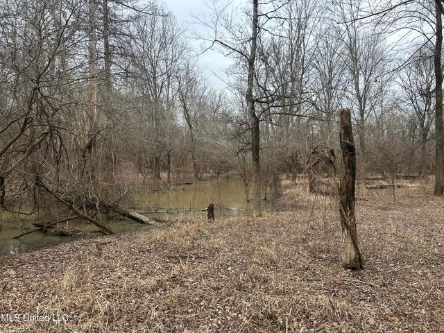 Campbell Swamp Road, Vicksburg, MS 39180