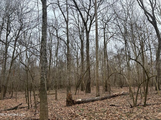 Campbell Swamp Road, Vicksburg, MS 39180