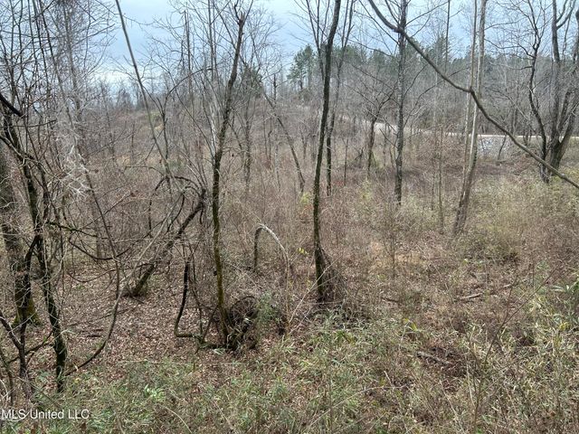 Campbell Swamp Road, Vicksburg, MS 39180