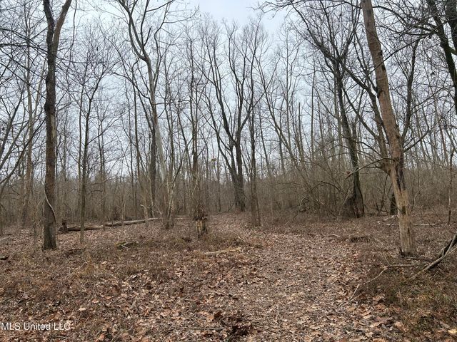 Campbell Swamp Road, Vicksburg, MS 39180