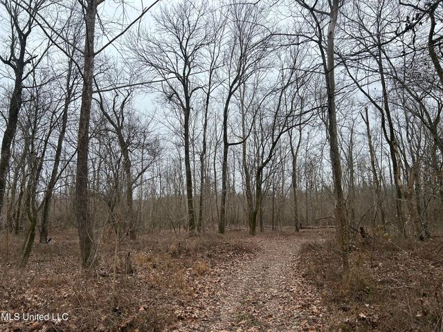 Campbell Swamp Road, Vicksburg, MS 39180