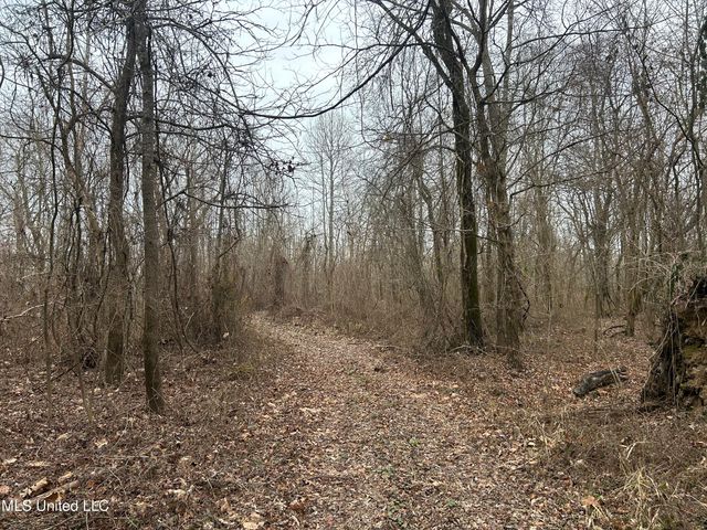 Campbell Swamp Road, Vicksburg, MS 39180
