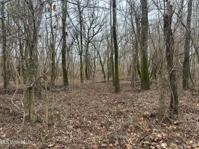 Campbell Swamp Road, Vicksburg, MS 39180