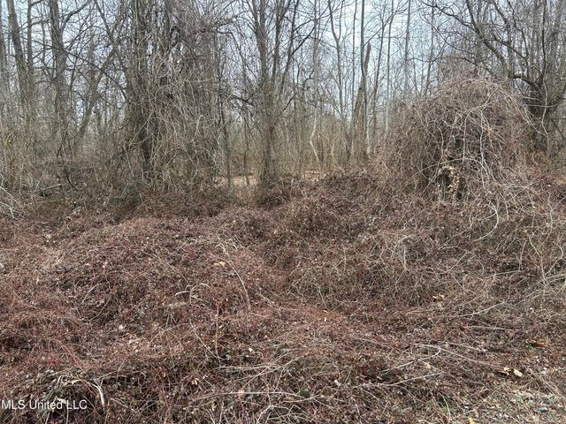 Campbell Swamp Road, Vicksburg, MS 39180