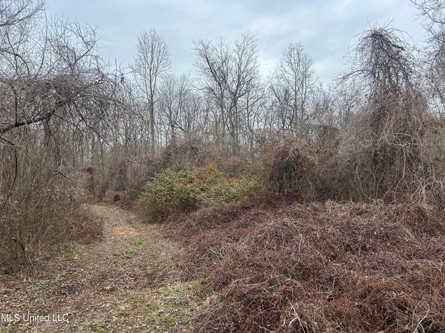 Campbell Swamp Road, Vicksburg, MS 39180