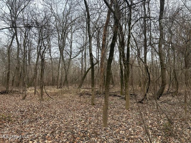 Campbell Swamp Road, Vicksburg, MS 39180