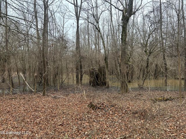 Campbell Swamp Road, Vicksburg, MS 39180