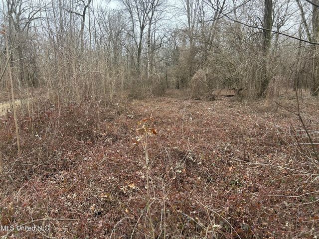Campbell Swamp Road, Vicksburg, MS 39180