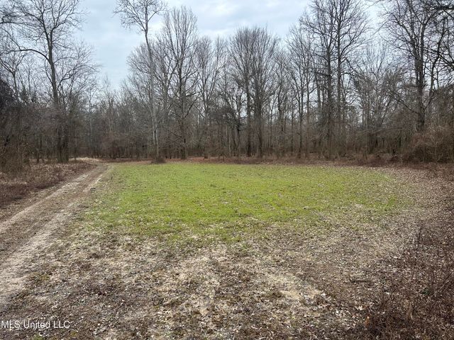 Campbell Swamp Road, Vicksburg, MS 39180