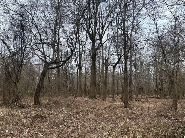 Campbell Swamp Road, Vicksburg, MS 39180