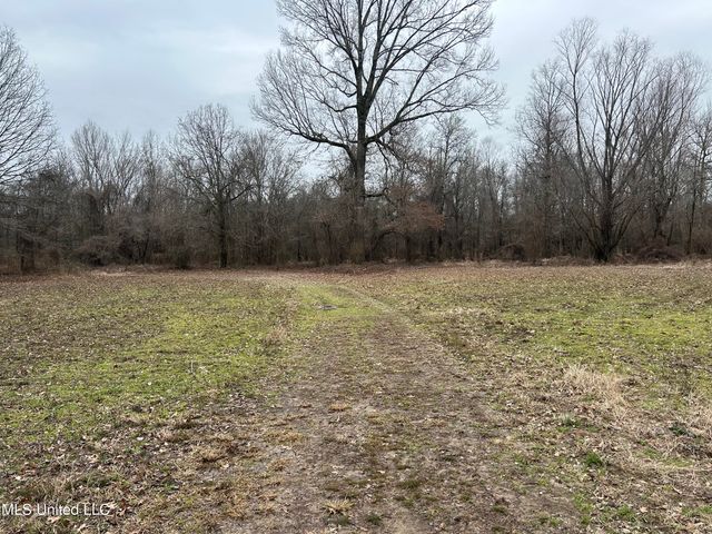 Campbell Swamp Road, Vicksburg, MS 39180