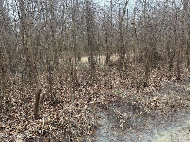 Campbell Swamp Road, Vicksburg, MS 39180