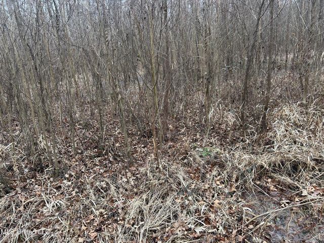 Campbell Swamp Road, Vicksburg, MS 39180