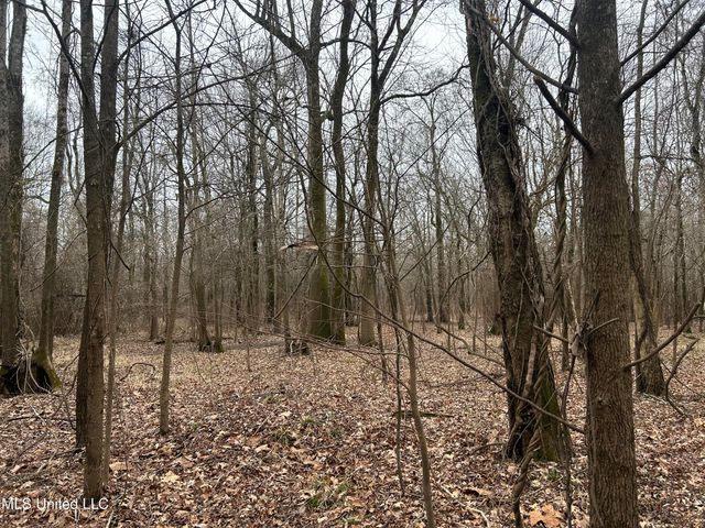Campbell Swamp Road, Vicksburg, MS 39180