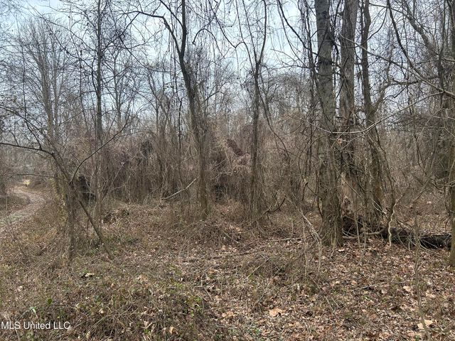 Campbell Swamp Road, Vicksburg, MS 39180