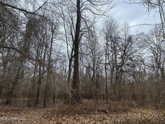 Campbell Swamp Road, Vicksburg, MS 39180