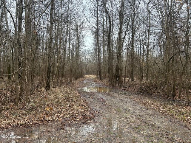 Campbell Swamp Road, Vicksburg, MS 39180