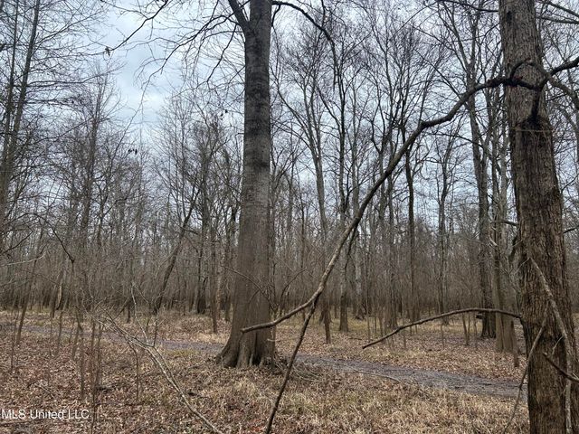Campbell Swamp Road, Vicksburg, MS 39180