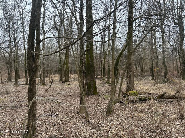 Campbell Swamp Road, Vicksburg, MS 39180