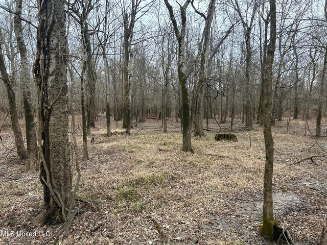 Campbell Swamp Road, Vicksburg, MS 39180