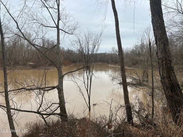 Campbell Swamp Road, Vicksburg, MS 39180