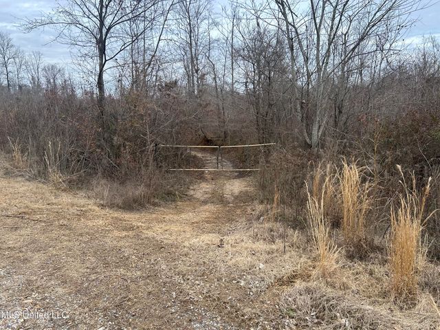 Campbell Swamp Road, Vicksburg, MS 39180