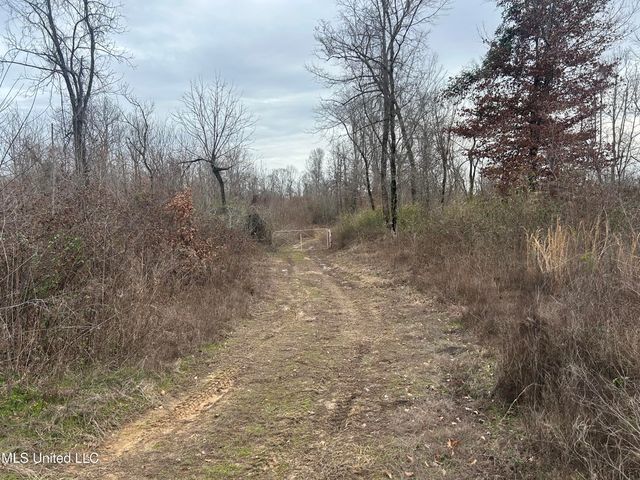 Campbell Swamp Road, Vicksburg, MS 39180
