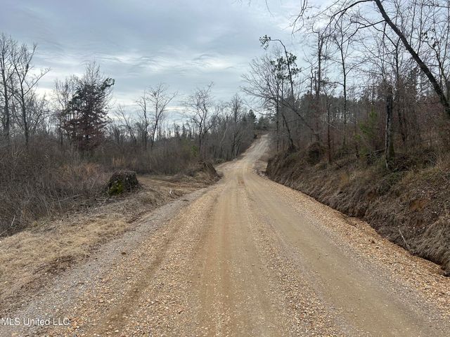 Campbell Swamp Road, Vicksburg, MS 39180