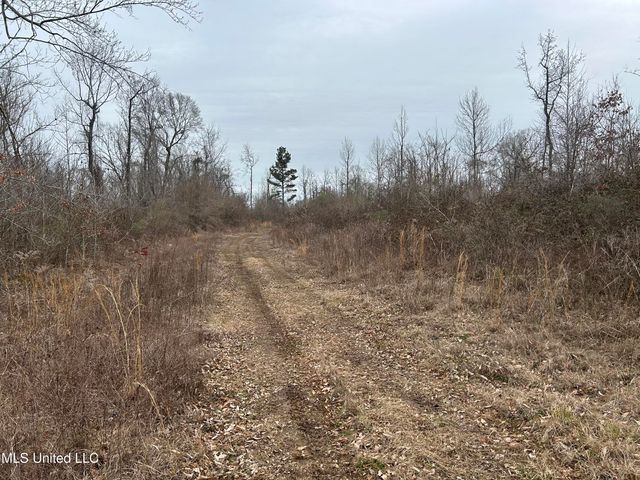 Campbell Swamp Road, Vicksburg, MS 39180