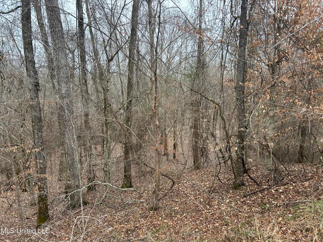 Campbell Swamp Road, Vicksburg, MS 39180