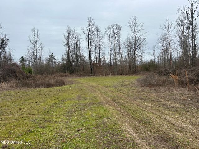 Campbell Swamp Road, Vicksburg, MS 39180