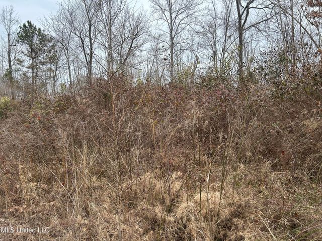 Campbell Swamp Road, Vicksburg, MS 39180