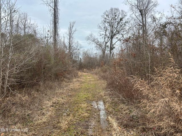 Campbell Swamp Road, Vicksburg, MS 39180