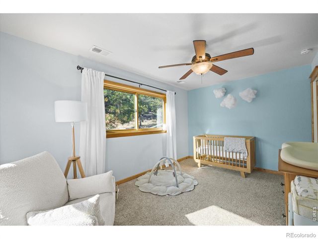 3665 Colard Lane, Lyons, CO 80540