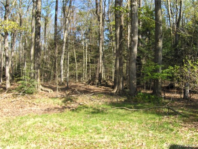3432 Wepax Road, Eden, NY 14057