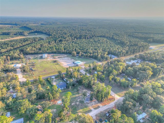 388 Sunrise Wood Road, Goodrich, TX 77335