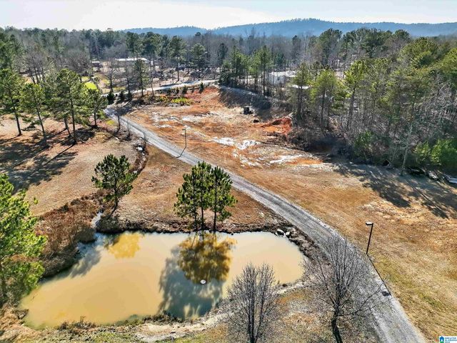 60 COUNTY ROAD 556, Clanton, AL 35046