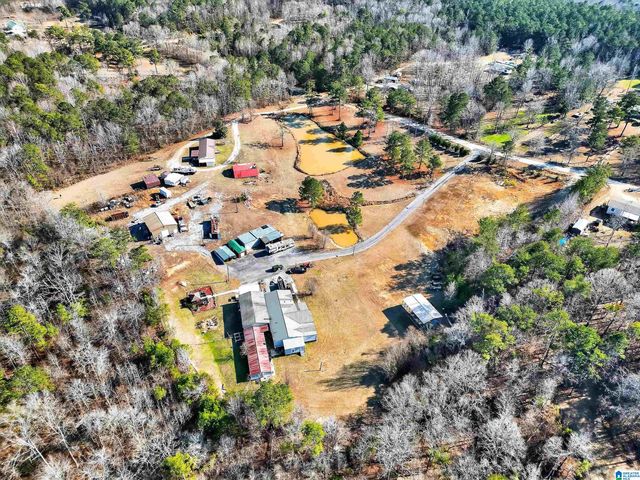60 COUNTY ROAD 556, Clanton, AL 35046