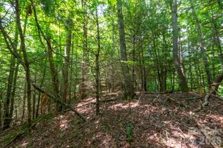 ### Board Tree Road 6, Marshall, NC 28753