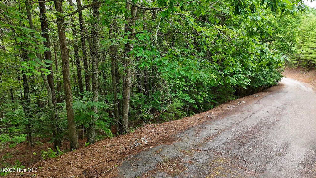 104,105 Choctaw Ridge Trail, Murphy, NC 28906