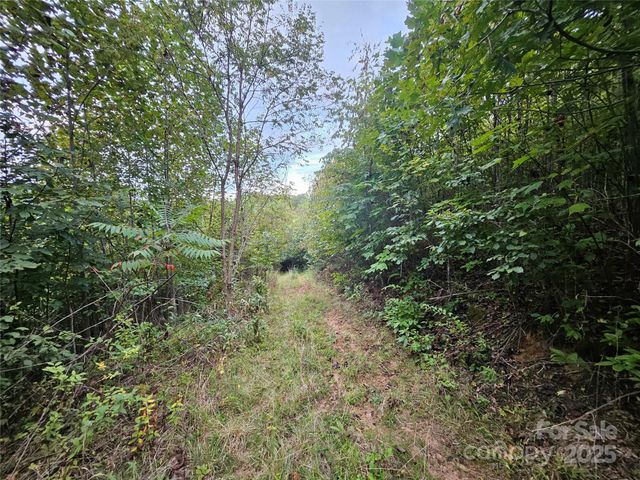 000 Double Island Road, Green Mountain, NC 28740