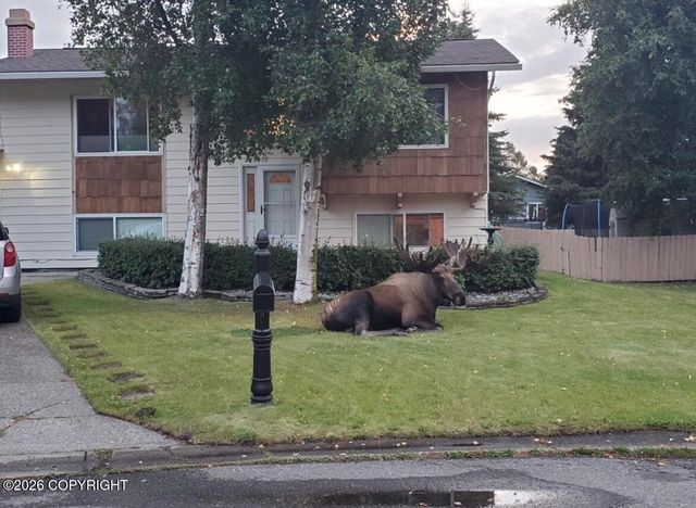 10254 Goodnews Circle, Anchorage, AK 99515