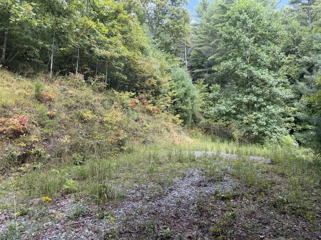 lot 77 Kudzu Creek Trail, Murphy, NC 28906