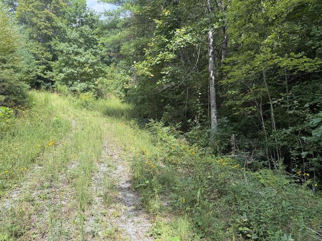 lot 77 Kudzu Creek Trail, Murphy, NC 28906