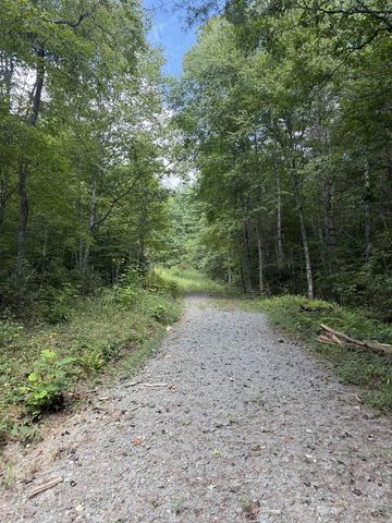 lot 77 Kudzu Creek Trail, Murphy, NC 28906