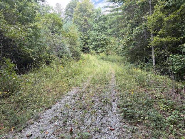 lot 77 Kudzu Creek Trail, Murphy, NC 28906