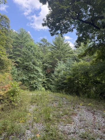 lot 77 Kudzu Creek Trail, Murphy, NC 28906