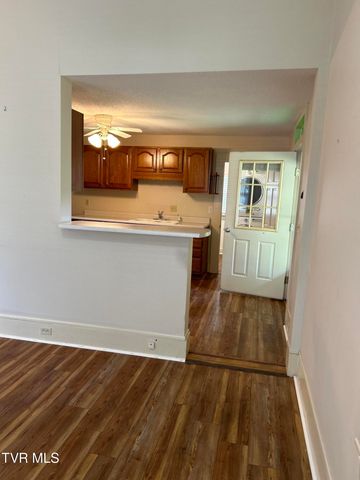 221 North Irish Street, Greeneville, TN 37745