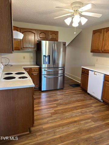 221 North Irish Street, Greeneville, TN 37745